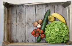 Produktfoto zu Speedykiste